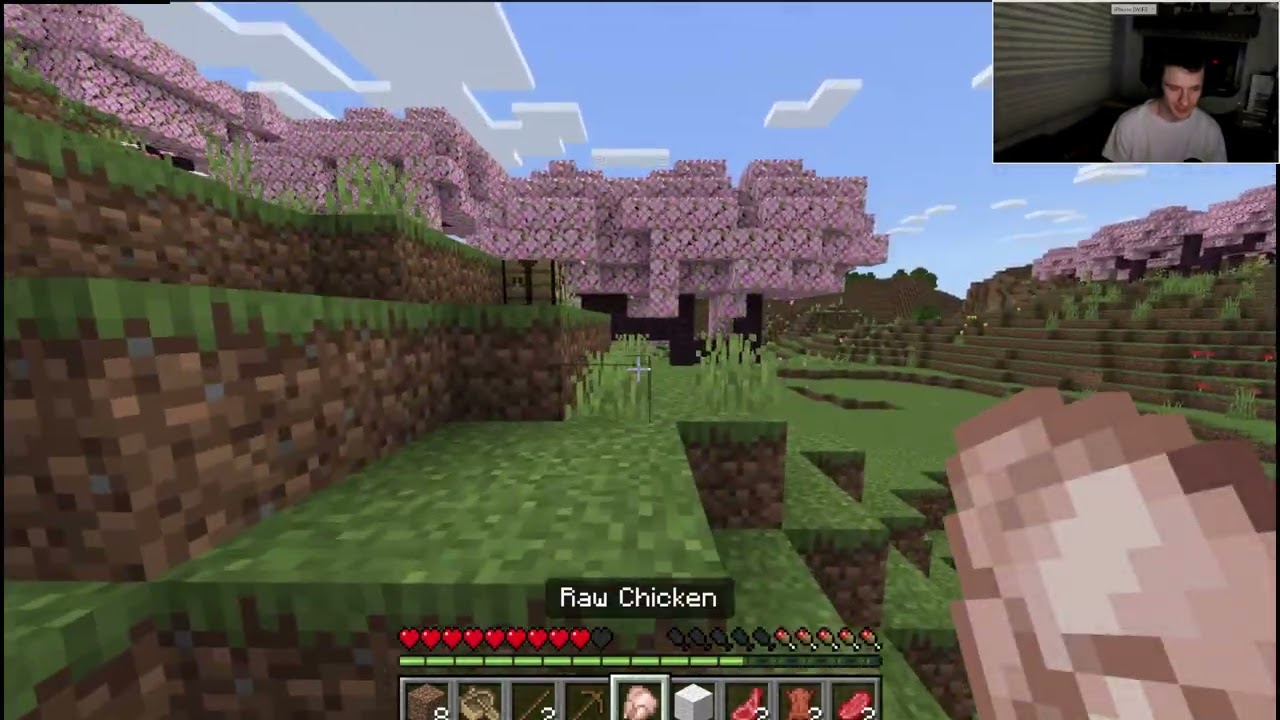 Minecraft Asmr 1