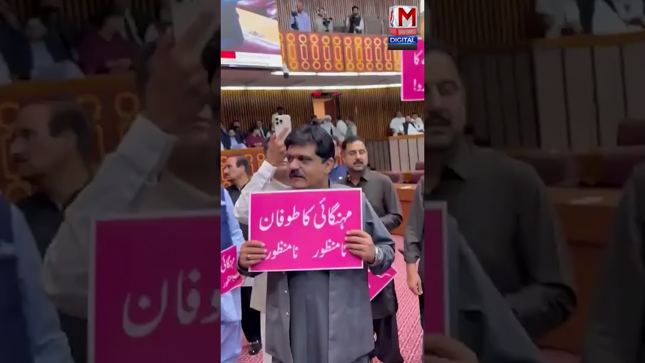 PTI Protest Against Budget Continues in Assembly | Inside Parliament Video | M News Digital