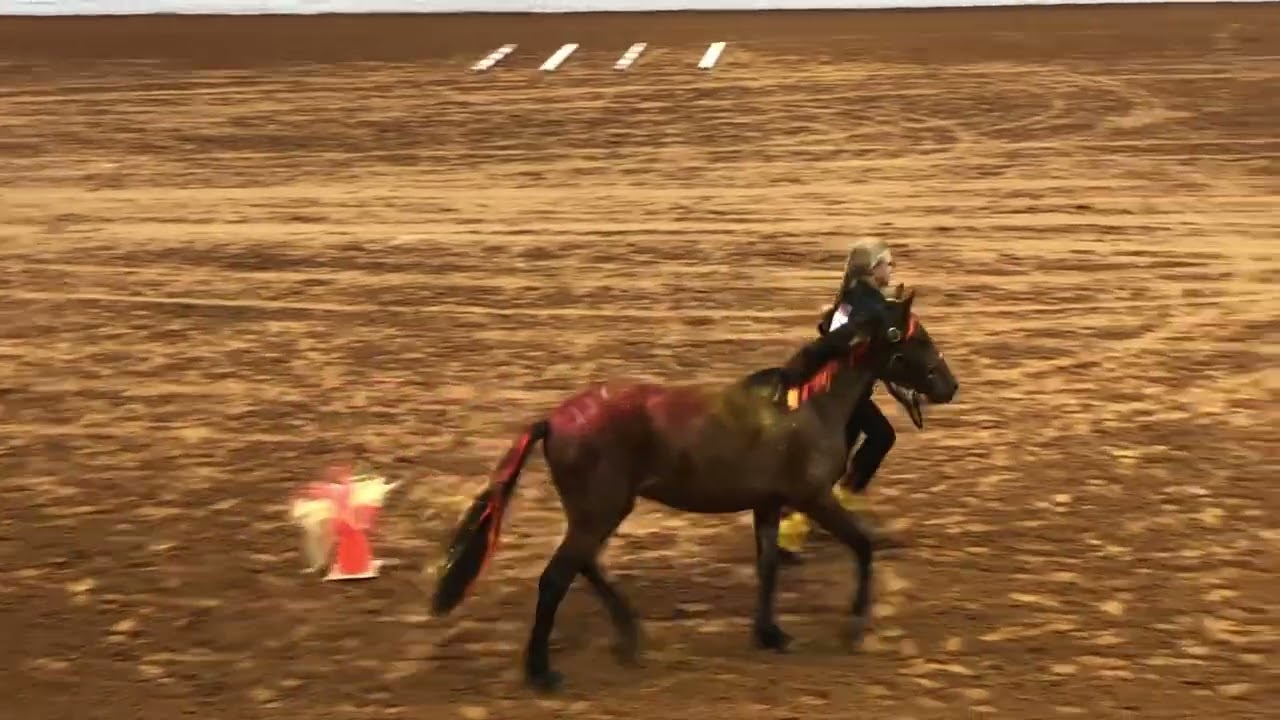 Extreme Mustang Makeover Freestyle 2022  | Winnie