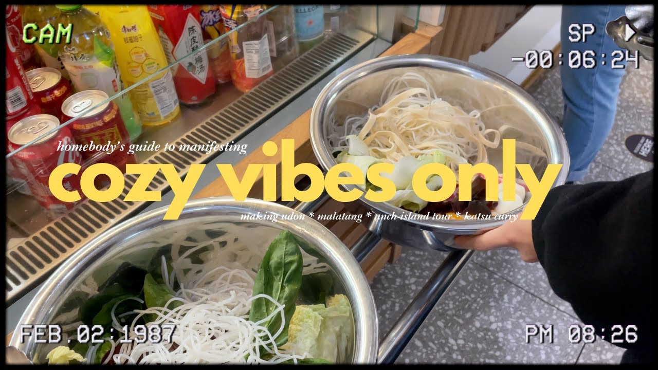 manifesting cozy vibes with warm winter recipes - katsu curry, niku udon, acnh island tour, malatang