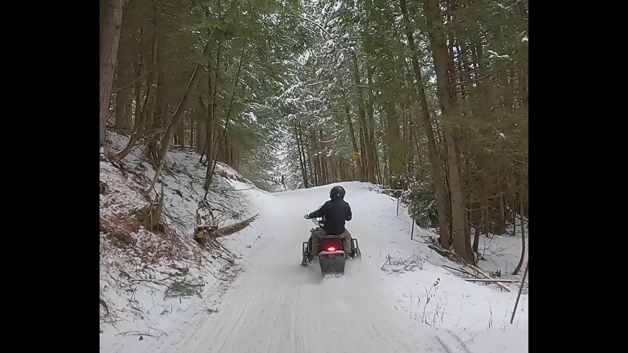 VAST Trails, Deer in Derby, Vt