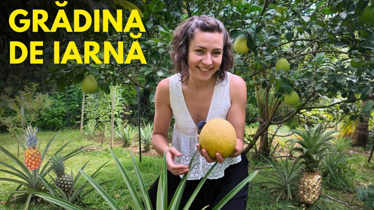 Cum arata o GRADINA tropicala in TOIUL IERNII