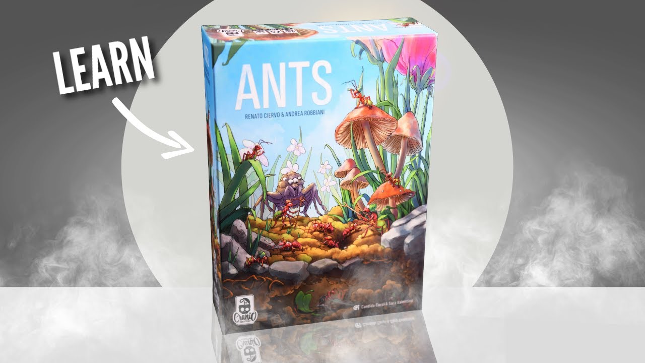 Ants Board Game | Rules Explained & Full Solo Playthrough