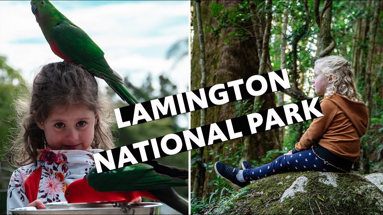 The best hiking on the Gold Coast | Lamington National Park | TRAVEL FAMILY VLOG