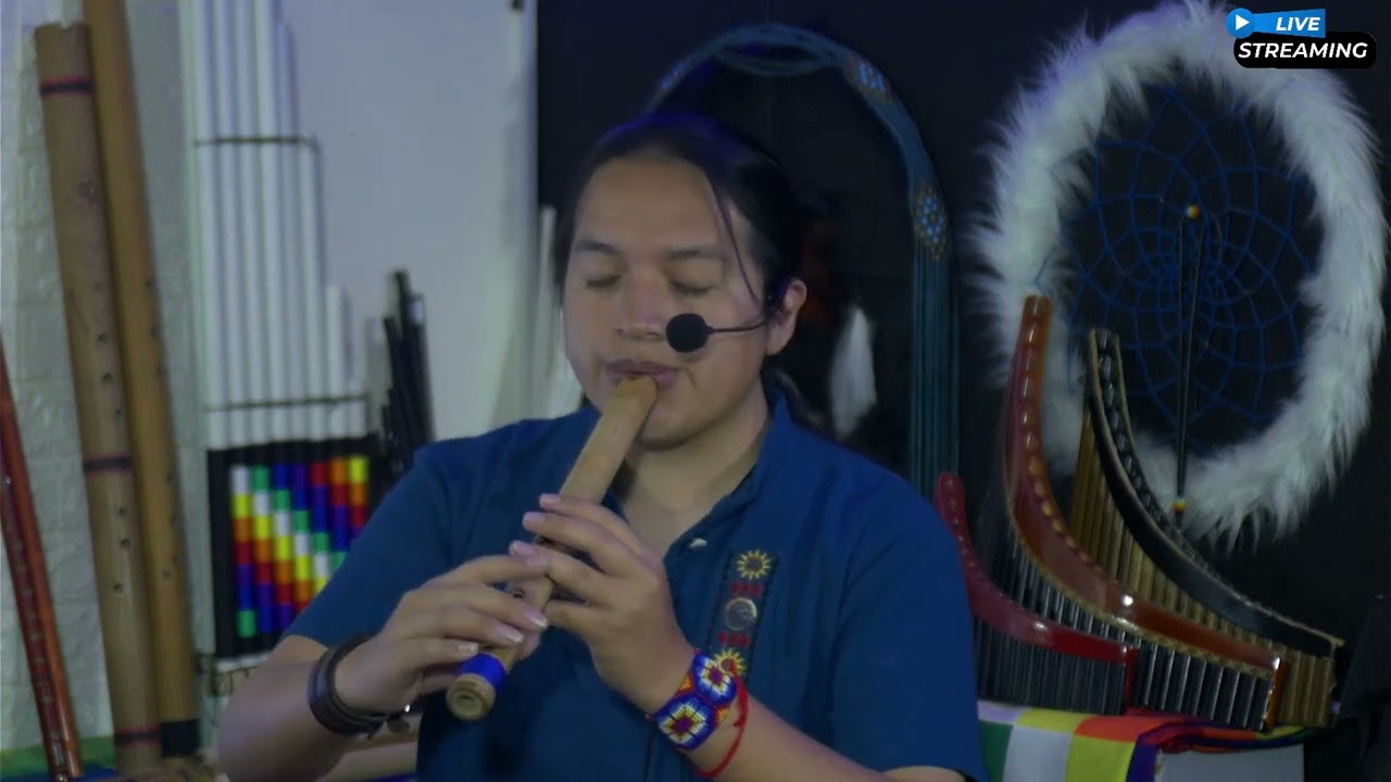 Valle del Alto (Cover) Música Instrumental