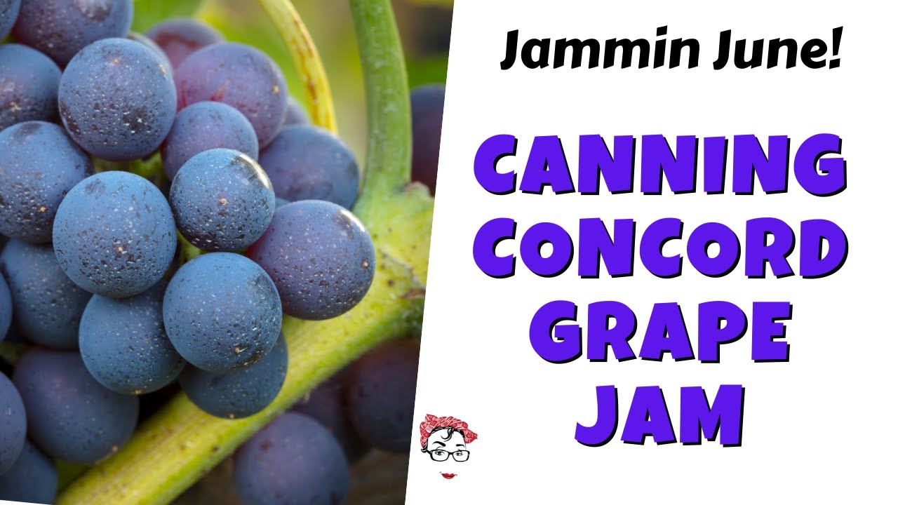 Canning Concord Grape Jam