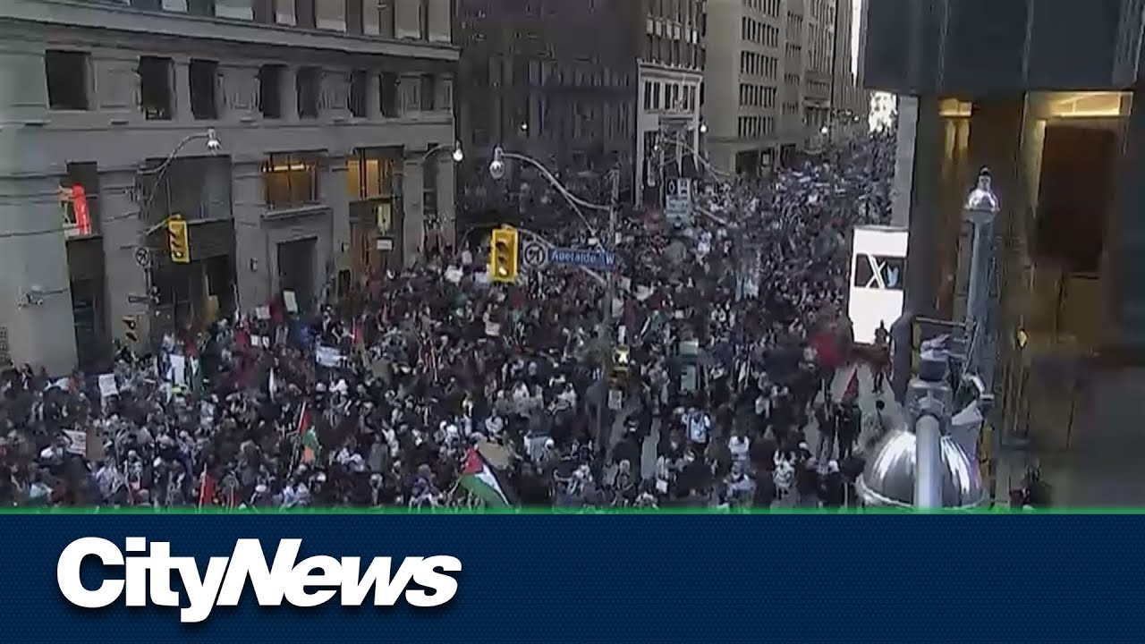 Thousands at pro-Palestinian rally call for ceasefire