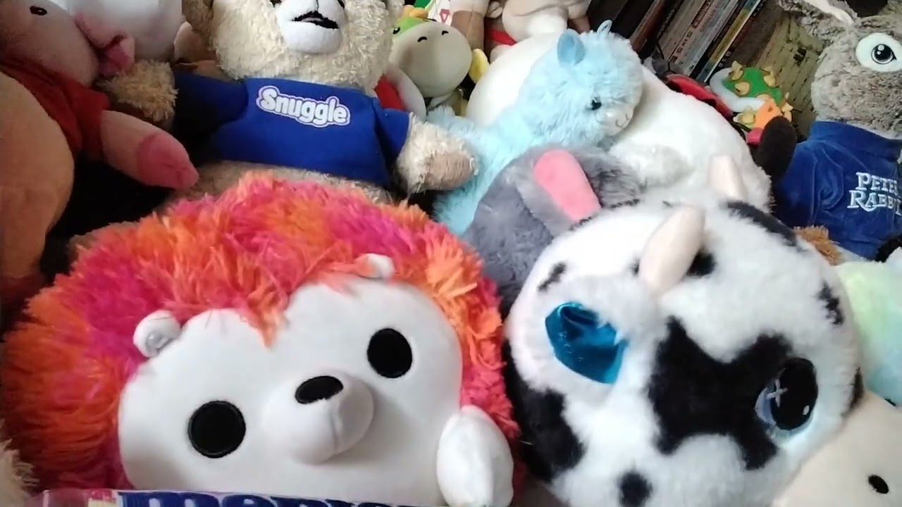 2026 Plush coletion