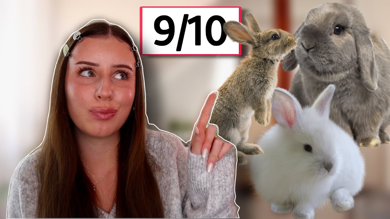 OCENIAM WARUNKI WASZYCH KR&Oacute;LIK&Oacute;W #11