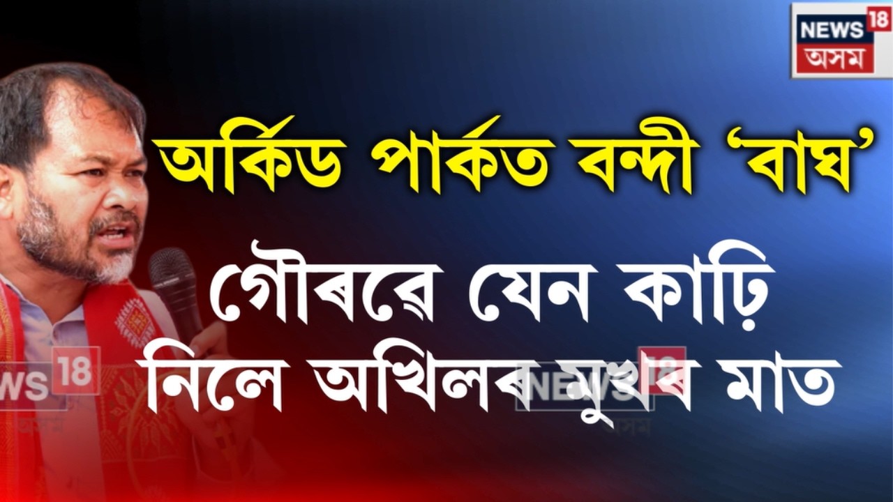Akhil Vs Gaurav Gogoi | গৌৰৱ গগৈয়ে বান্ধি পেলালে অখিল গগৈক | N18V