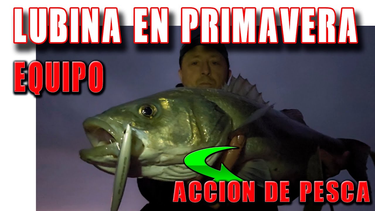 PESCANDO LUBINAS EN PRIMAVERA (SPINNING)