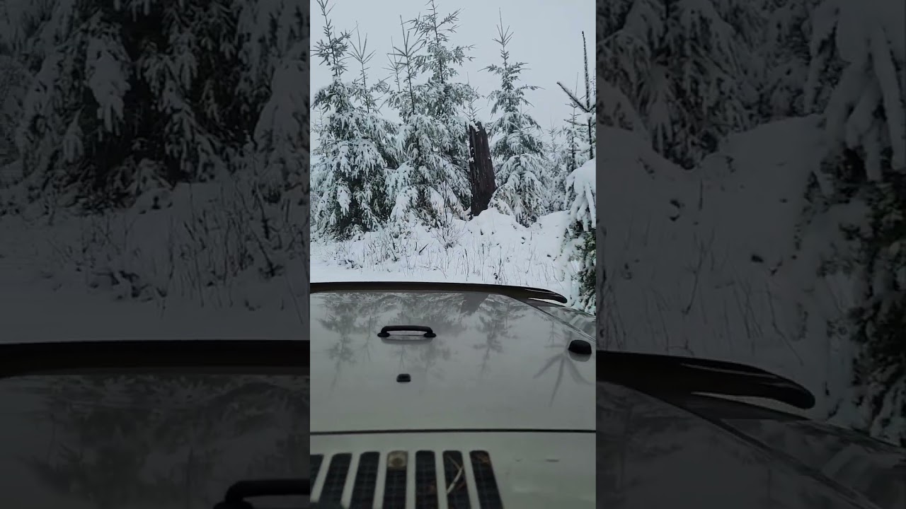 Finally, a little snow. 