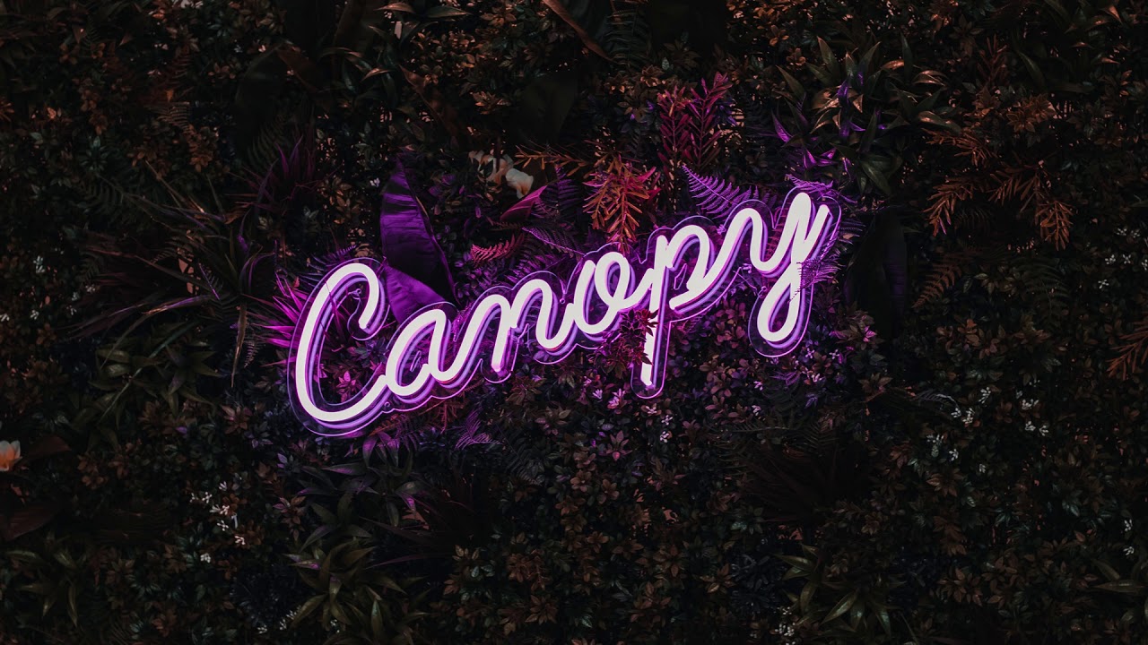Canopy - Beautiful & Relaxing Piano｜Mr Yohan