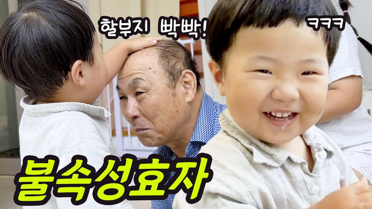 너무 순수해서 뭐라할 수도 없고...불속성 손주 할아버지 대머리 놀리기/진짜 맛있는 무화과 생일케이크 만들어봤어요/ 다이소 할로윈 꾸미기