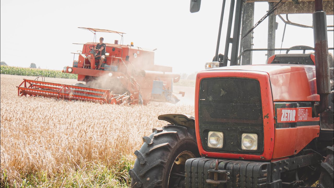 // ŻNIWA 2023 // Bizon Z056  Zetor 9540  Ursus C-360 3P //
