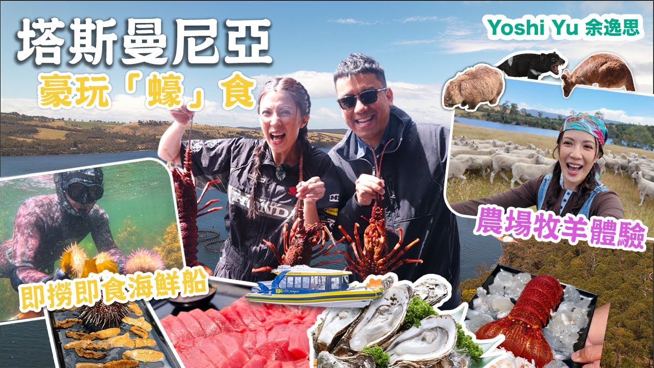 🇦🇺塔斯曼尼亞我來了!!!豪玩「蠔」食😋任食即撈即食海鮮船🦞沉浸式親親大自然🦘人生必試農場牧羊體驗ft. EGL 東瀛遊
