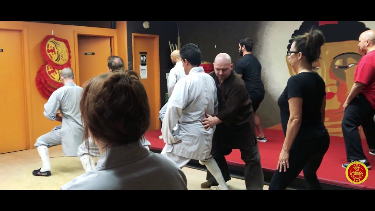What is Shaolin Culture?
