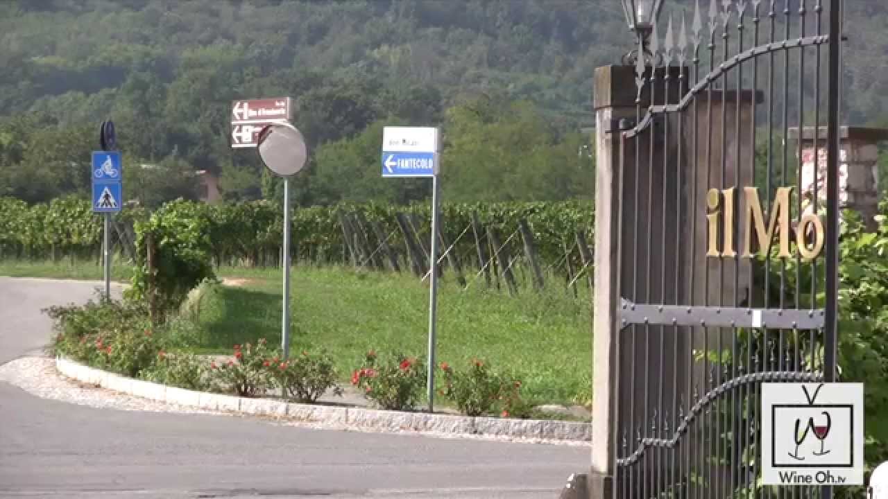 Traveling in Northern Italy Franciacorta Wine Tasting and Wine Tours