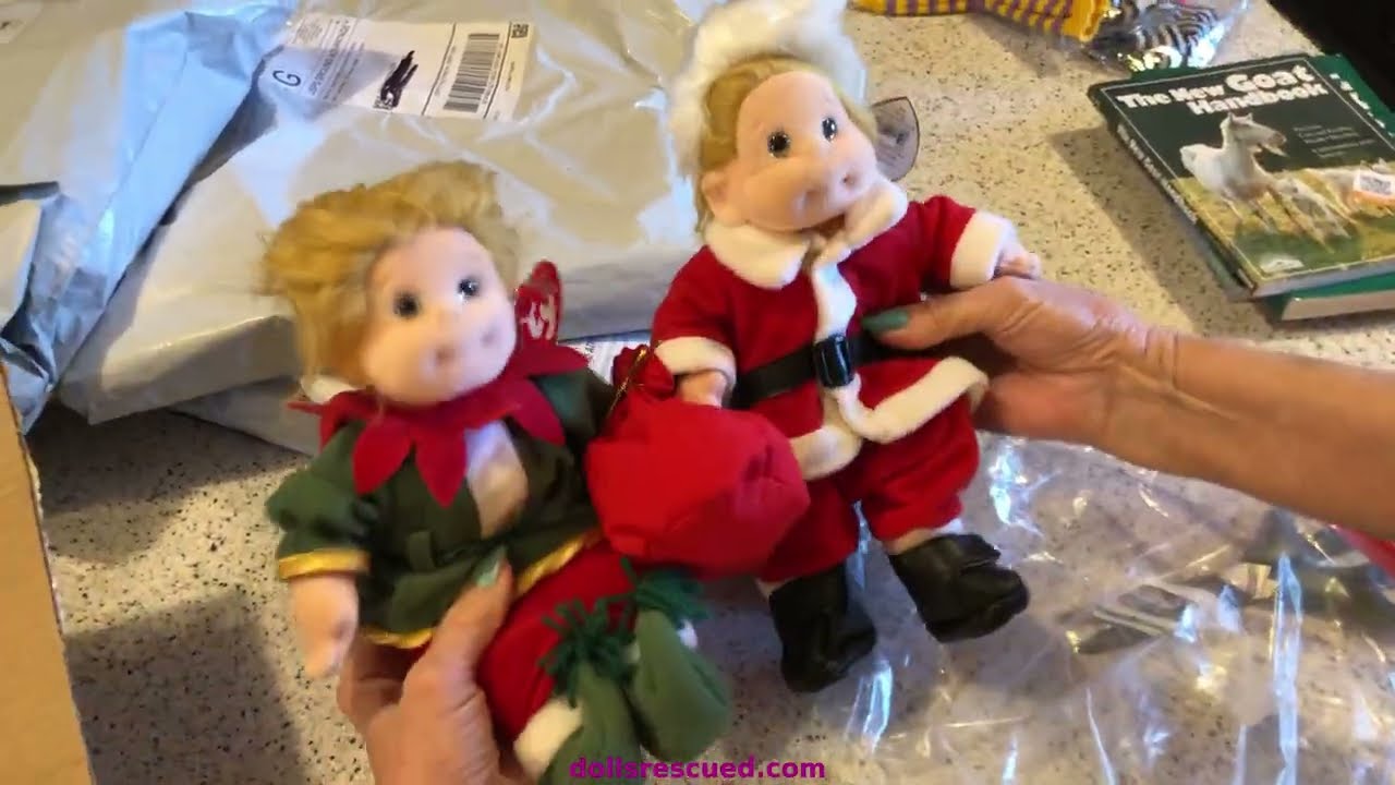 AliExpress Haul -  Doll Items & Pet Items & Even a Swearshirt for Me!~
