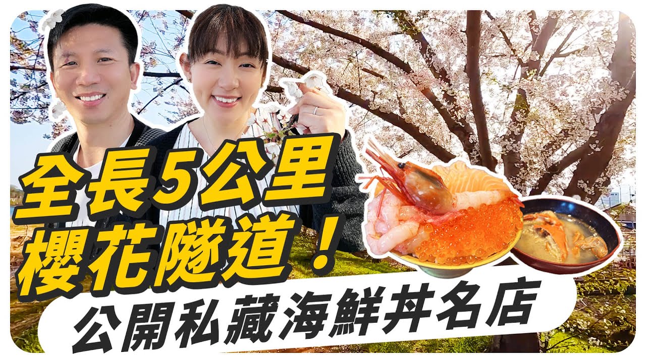 總長5公里余市川櫻花隧道，公開我私藏的海鮮丼名店！