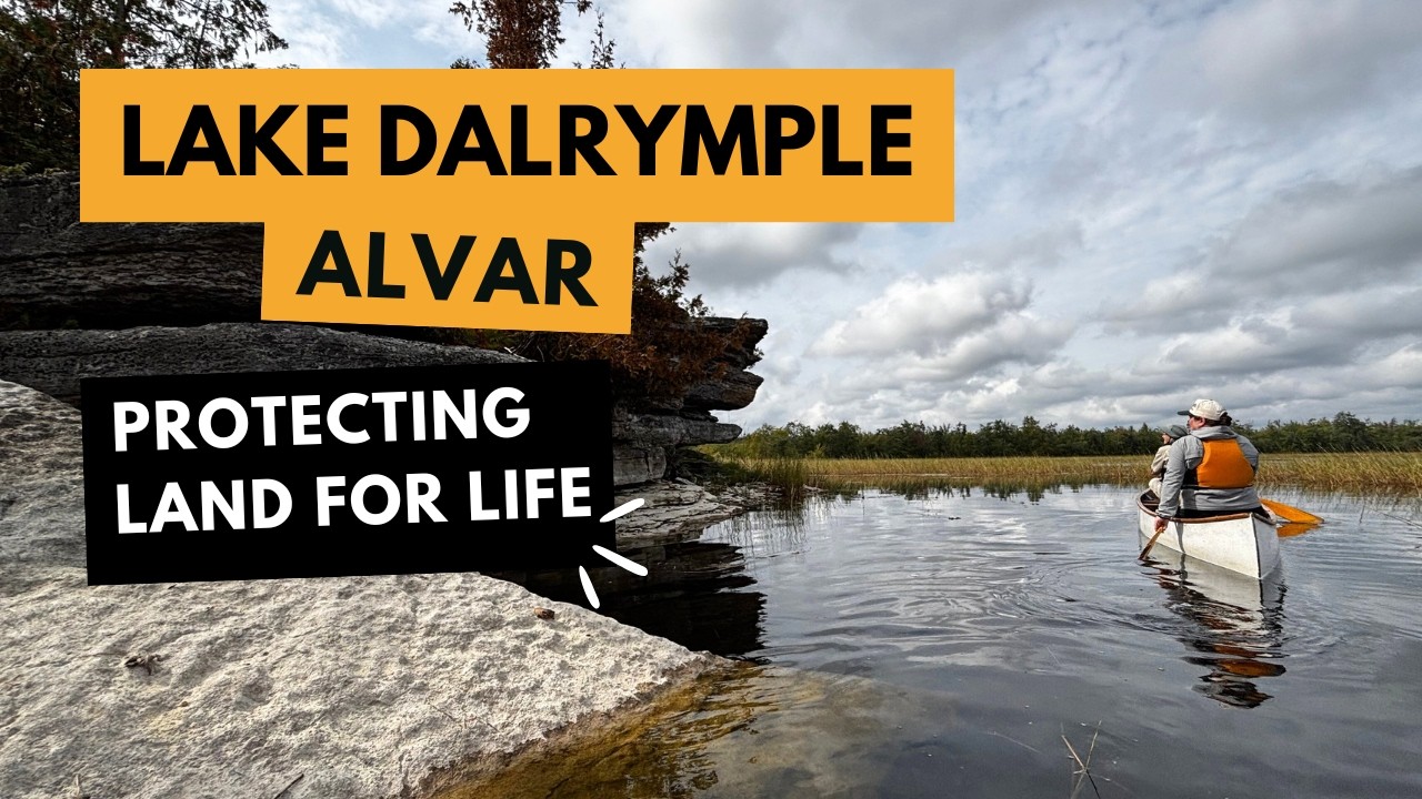 Lake Dalrymple Alvar, the last undeveloped alvar shoreline on Lake Dalrymple