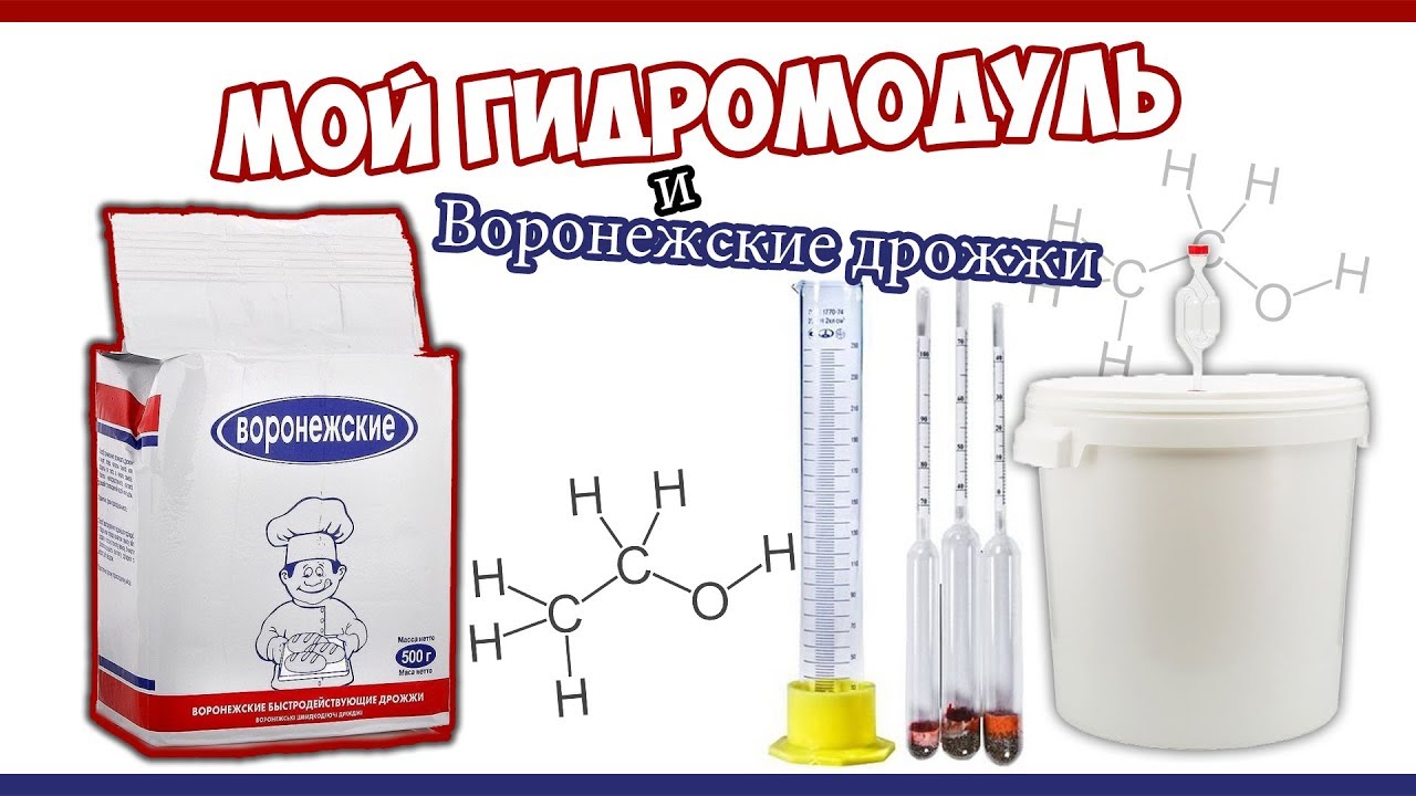 Воронежские дрожжи и мой гидромодуль