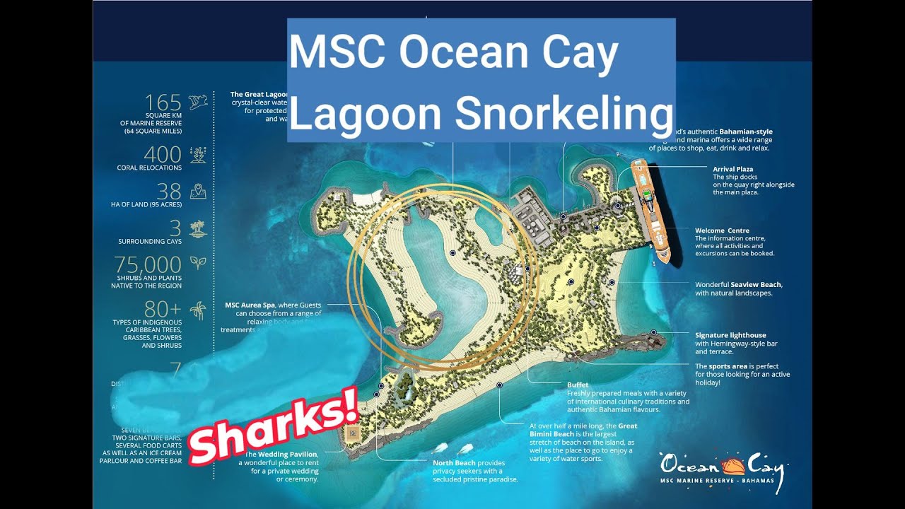 Snorkeling in the MSC Ocean Cay Lagoon | Lemon Sharks & Underwater Wildlife 🌊🦈