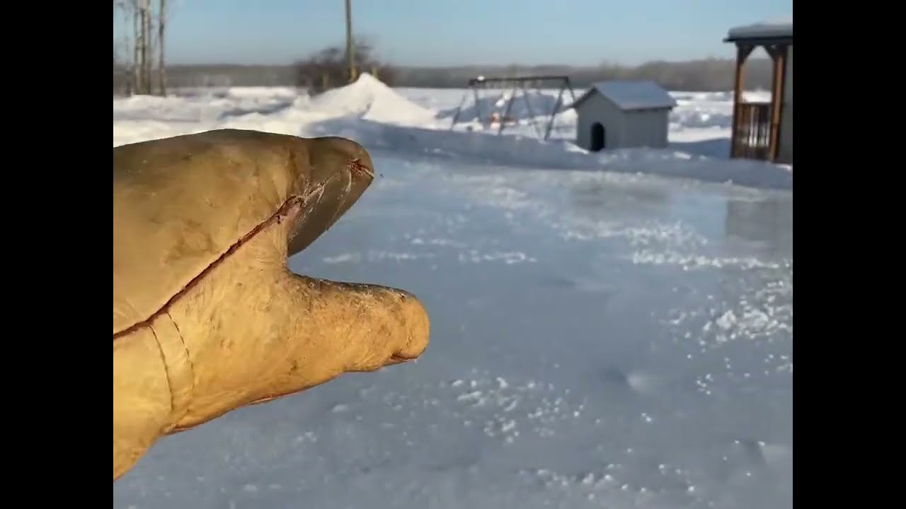 Building an outdoor skating rink.