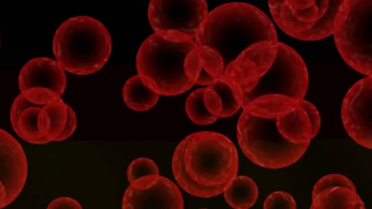 Pitbull Motel room service remix