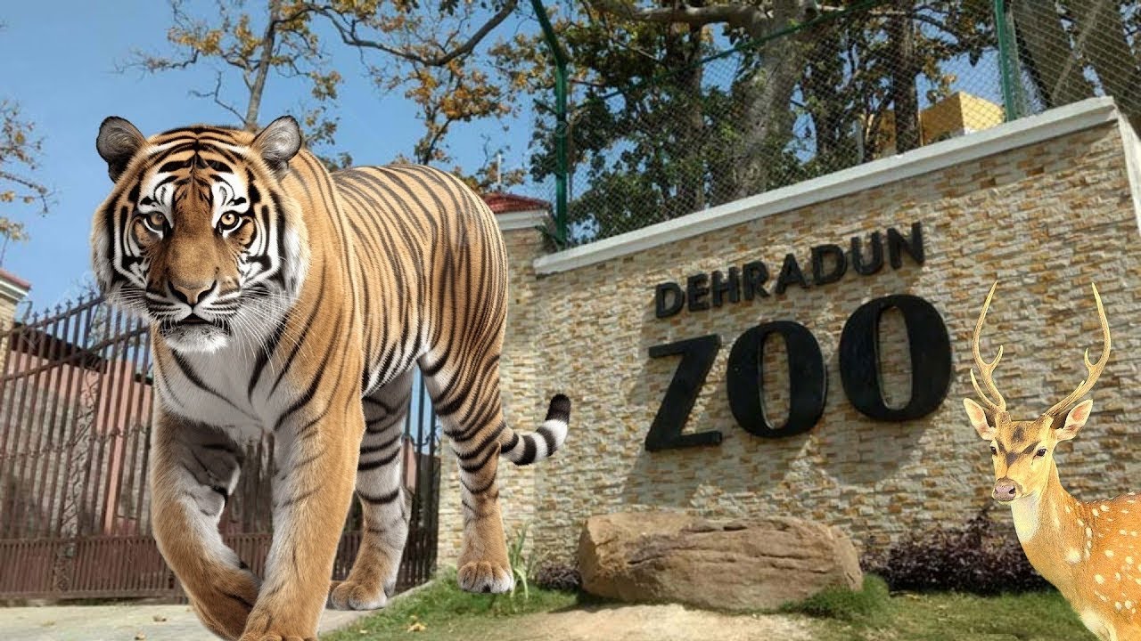 Dehradun Zoo | Zoo of Dehradun | #viral | #video | #@Pathanyatrijmi | How to Come Dehradun Zoo? 