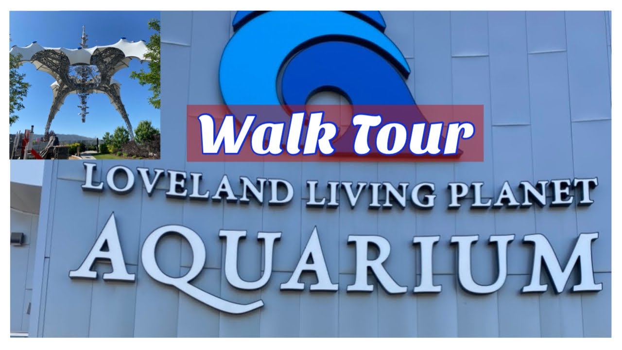 Loveland Living Planet Aquarium Walkthrough | Visit Utah | Loveland Aquarium Walk Tour 2023 Summer