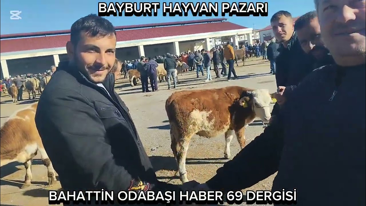 BAYBURT HAYVAN PAZARINDA BU HAFTA 29 EKİM 2024 CUMHURİYET BAYRAMIMIZ KUTLU OLSUN...