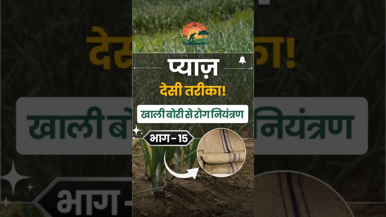 प्याज़ की फसल बचाने वाला जबरदस्त देसी जुगाड़! || Save Your Onion Crop with This Simple Desi Trick!