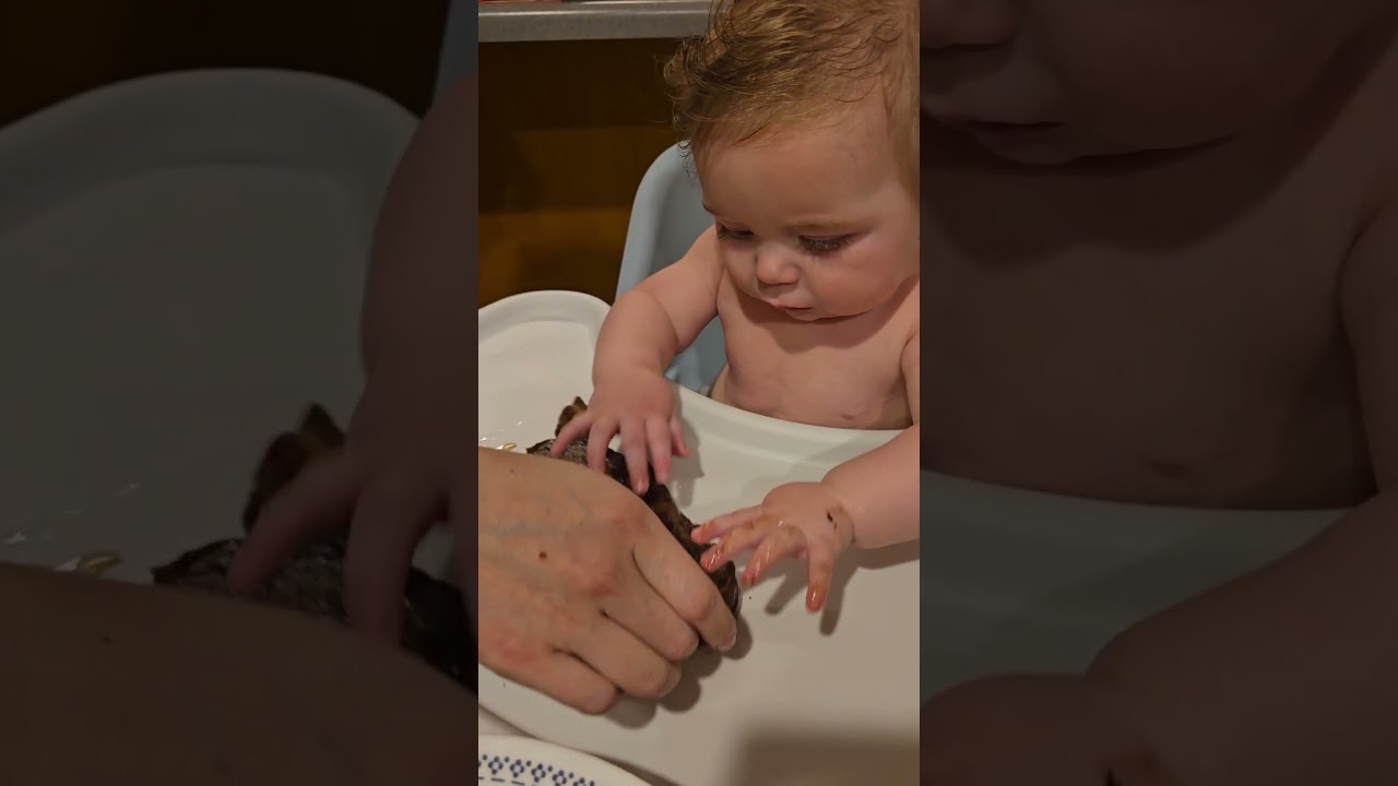 Giving our 6 month old steak for his first meal!  #delicious #steak #parenting #baby