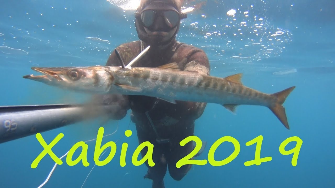 Pesca Submarina Xabia 2019