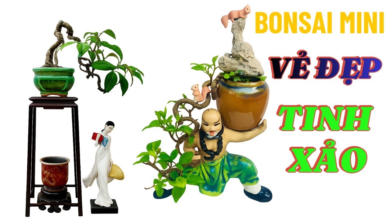 Bonsai Mini: Vẻ Đẹp Tinh Xảo Từ Những Chậu Cây Nhỏ Bé#bonsaimini #bonsai #nghethuattruyenthong