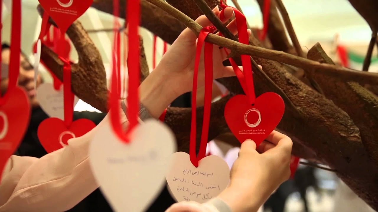 World Heart Day فعاليات اليوم العالمي للقلب 2014