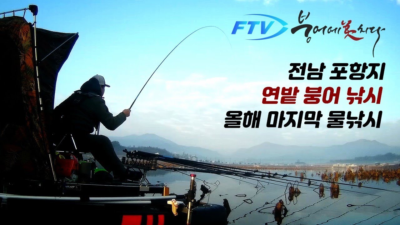 [214화] 장흥 포항지 연밭 붕어낚시!! - FTV 붕어에미치다