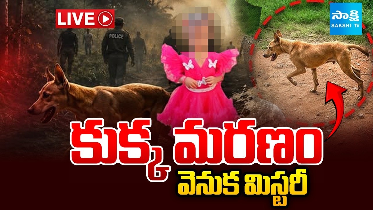 LIVE: Twist In Jahnavi Missing Case | Kakinada Tuni Girl Incident | ⁨@SakshiTV⁩