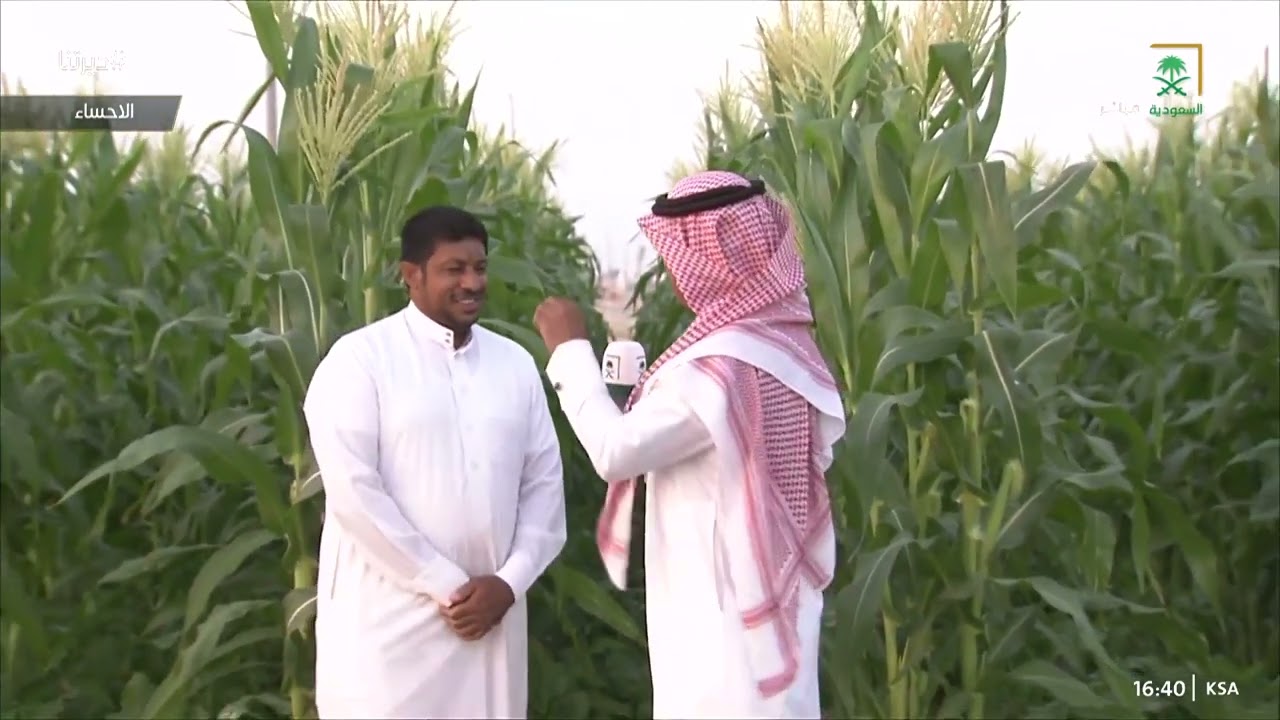 #ديرتنا | 