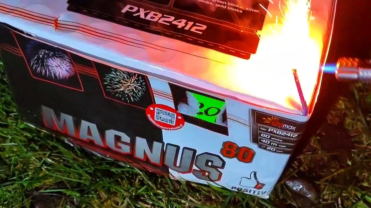 PXB2412 Magnus 2016r