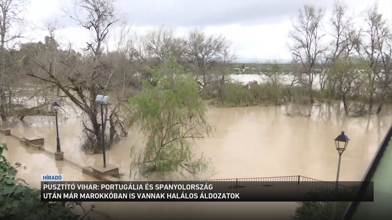 Pusztító vihar