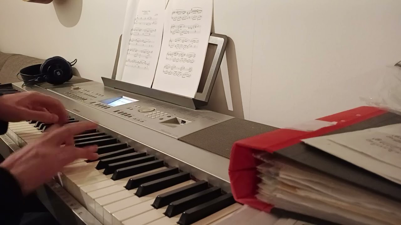 Hungarian Rhapsody no. 2 in C# Major - Franz Liszt (part I)