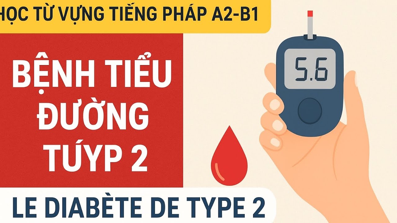 Học từ vựng tiếng Pháp A2-B1: Bệnh tiểu đường tuýp 2 ( LE DIABÈTE  DE  TYPE  2 )