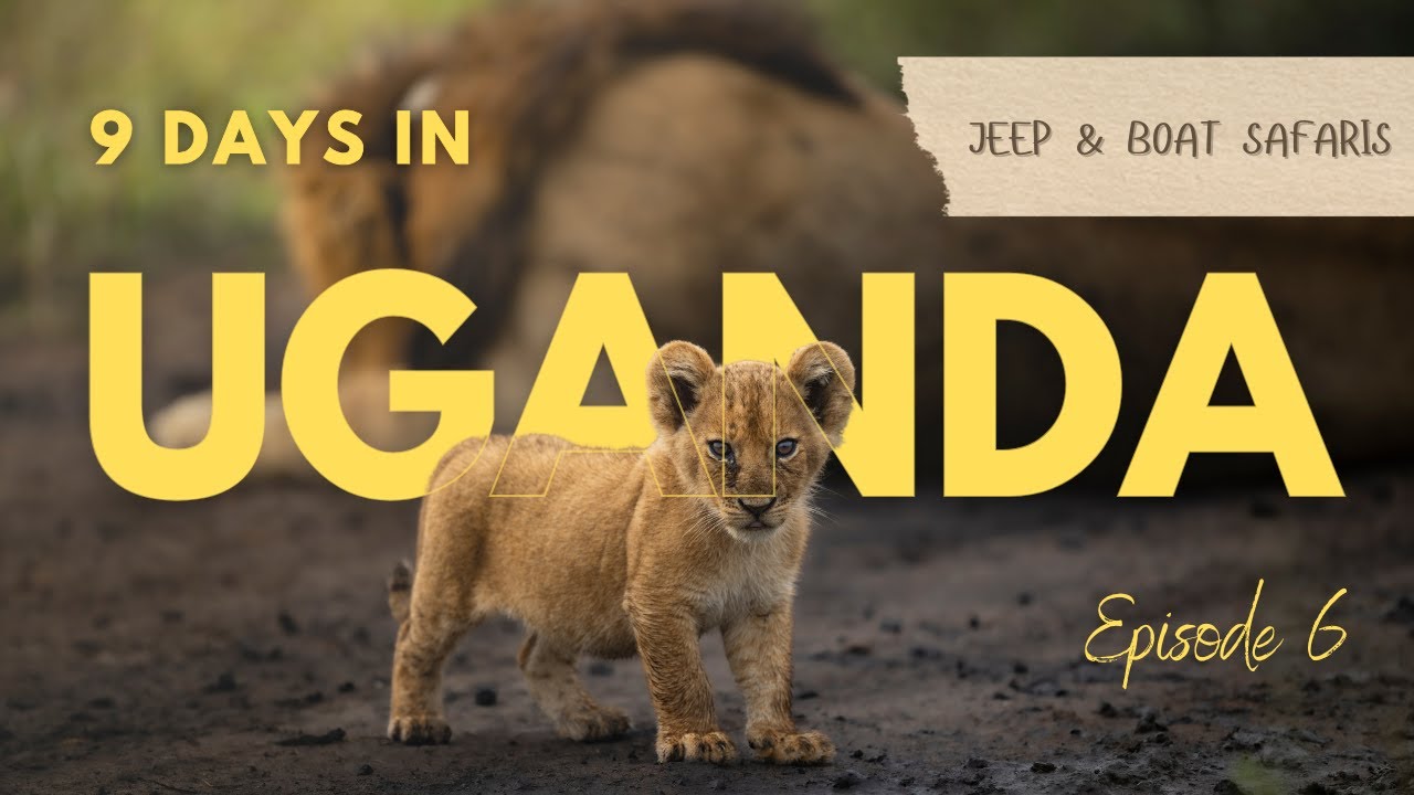 Full-Day Safari: Tree-Climbing Lions & Elephant Battles | Uganda Series Ep. 6