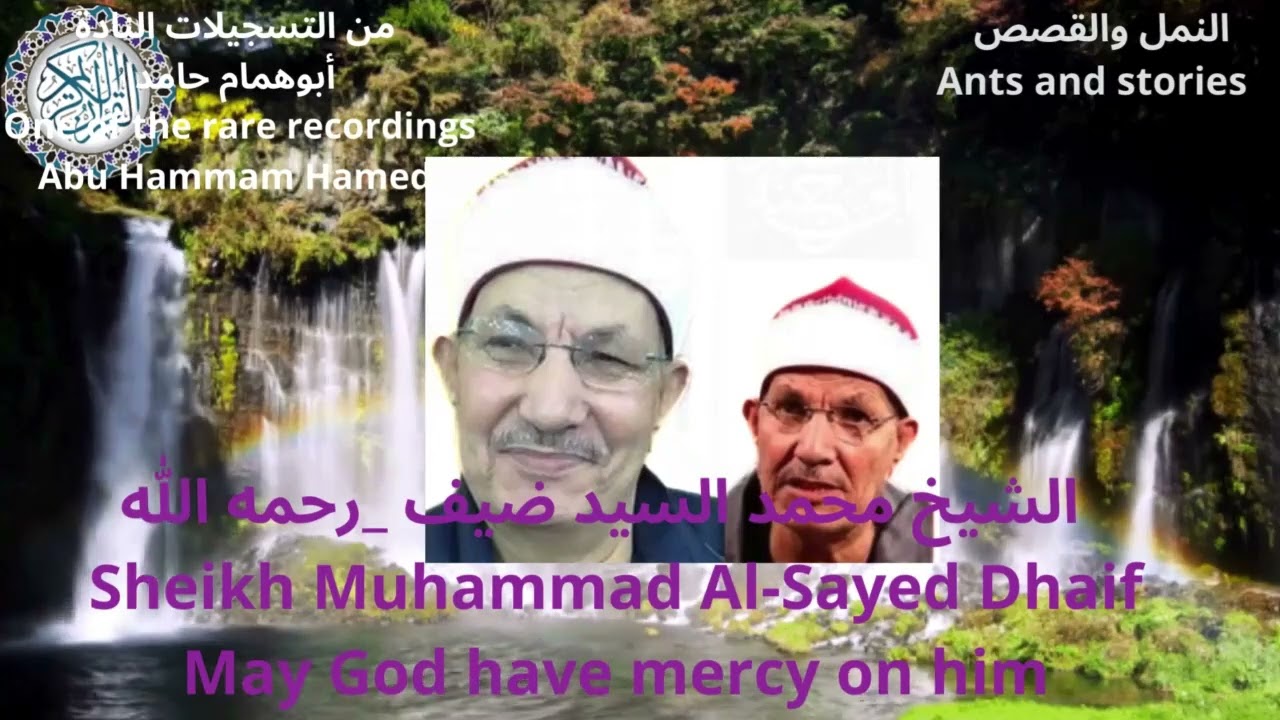 من التسجيلات النادرة_ للشيخ_ محمد السيد ضيف رحمه الله_النمل والقصص _ 1992  @القرأنالكريمكنوزالتلاوةالضيف
