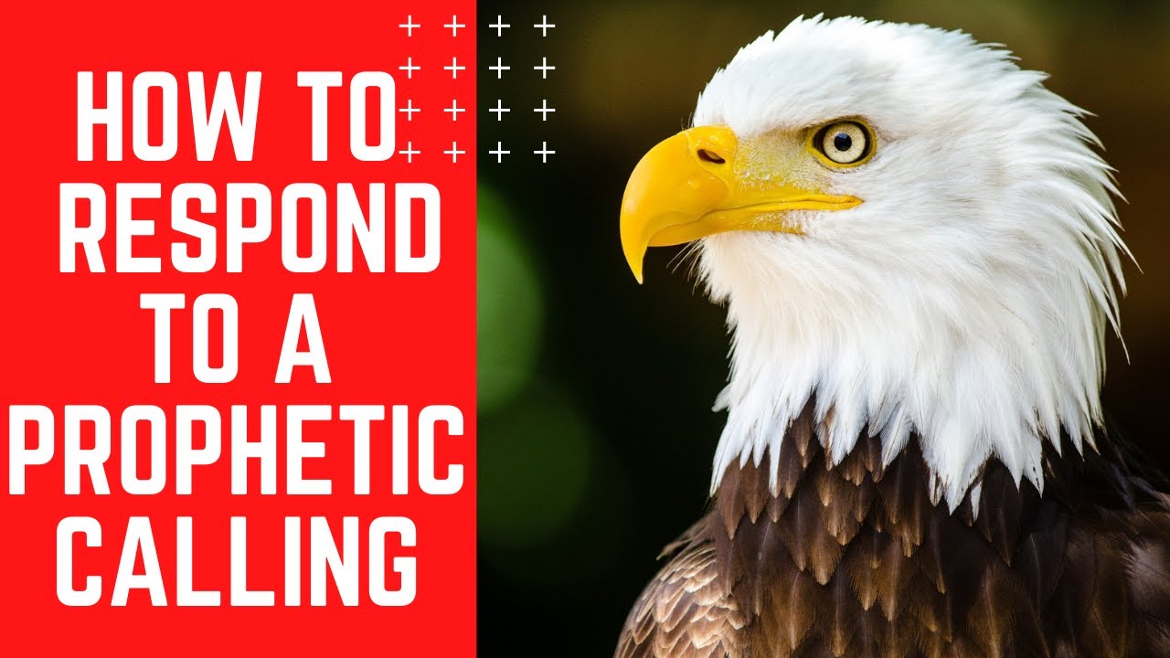 How to Respond to a Prophetic Calling | Apostle Bongani Blacksmith