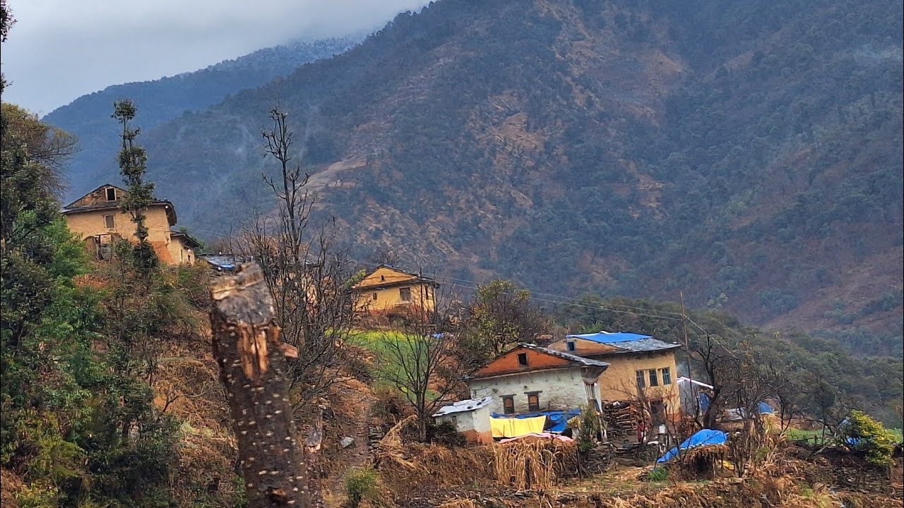 This is Himalayan Life | Nepal🇳🇵| Ep-237| Typical Nepali Village Food Dhodo cooking&Eating in Rain