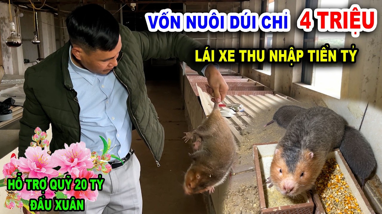 VỐN NUÔI DÚI MÁ ĐÀO THÁI LAN CHỈ 4 TRIỆU ĐỒNG – LÁI XE ĐỔI ĐỜI, TRAO QUỸ 20 TỶ CHO BÀ CON