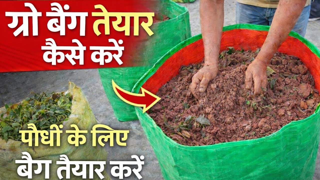 How to prepare grow bag for plants #gardening #easyfarming #trending #terracegardenindia 